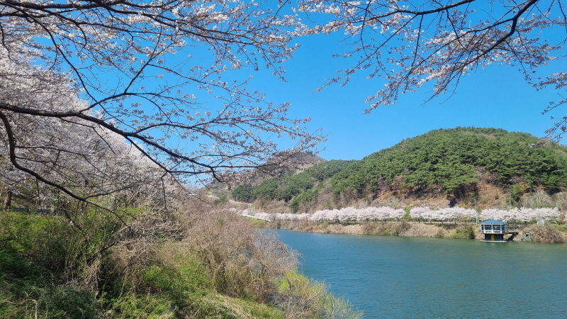 [크기변환]KakaoTalk_20260407_152939513_02.jpg